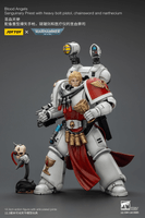 Blood Angels Sanguinary Priest with Heavy bolt pistol, chainsword and narthecium 3