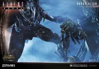 Prime 1 Studio Premium Masterline Aliens (Comics) Rogue Alien Battle Diorama EX Version - Alien (Movie Franchise) - photo 19
