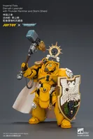 Imperial Fists Darnath Lysander with Thunder Hammer and Storm Shield 18