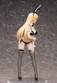 FREEing Erina Nakiri: Bikini Bunny Ver. - Food Wars! Shokugeki no Soma - photo 6
