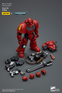 Blood Angels Intercessors 5