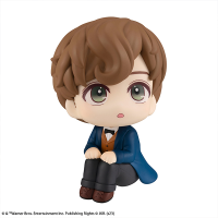 Lookup Fantastic Beasts Newt Scamander 2