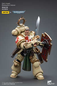 Dark Angels Bladeguard Veteran 3