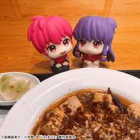 Lookup TV Anime Ranma 1／2 Ranma & Shampoo set【with gift】 4