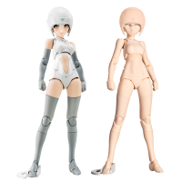 B1R-M CHASSIS KIT SKIN COLOR A 12