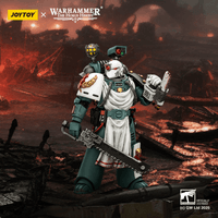 Sons of Horus Legion Apothecary 12