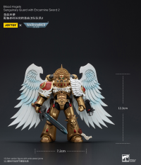 Blood Angels Sanguinary Guard with Encarmine Sword 2 10
