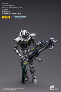 WH40K-Necrons Sautekh Dynasty Immortal with Tesla Carbine 5