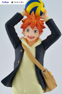 TENITOL HINATA SHOYO 8