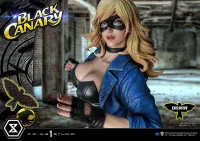 Prime 1 Studio Museum Masterline DC Comics Black Canary EX Version - DC Comics - photo 40