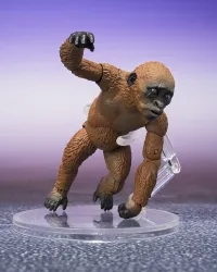 TAMASHII NATIONS SUKO & MOTHRA (2024) FROM GODZILLA x KONG: THE NEW EMPIRE	GODZILLA x KONG: The New Empire ""GODZILLA x KONG: The New Empire"", TAMASHII NATIONS S.H.MonsterArts - Godzilla - photo 8