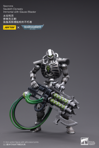 WH40K-Necrons Sautekh Dynasty Immortal with Gauss Blaster 1