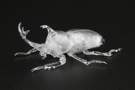 [FI No.21 EX-1]  Biology Edition Beetle (Clear)