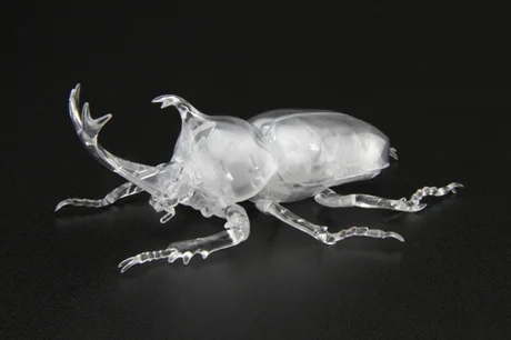 Fujimi [FI No.21 EX-1]  Biology Edition Beetle (Clear) - Original Series