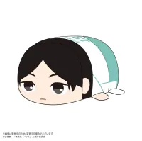 MAX LIMITED Haikyu!! POTE KORO MASCOT BIG (ITEM F) - Haikyu!! - photo 1