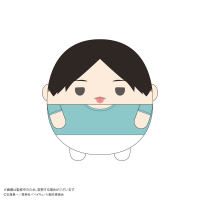 Haikyu!! FUWA KORORIN Msize 9  (ITEM D) 1