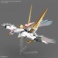 HG Amplified IMGN RYUOUMARU 10