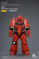 Blood Angels Intercessor with Bolt Rifle, Bolt Pistol and Chainsword 14