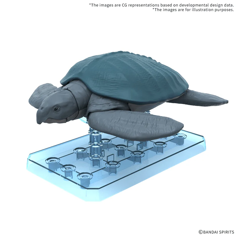BANDAI HOBBY PLANNOSAURUS Archelon - PLANNOSAURUS