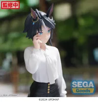SEGA Luminasta "Umamusume: Pretty Derby – Beginning of a New Era" "Fuji Kiseki" - Umamusume: Pretty Derby - photo 3