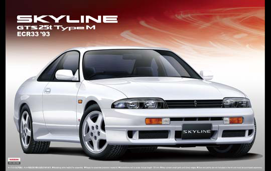 THE BEST CAR GT #48 : 1/24 ECR33 Skyline GTS 25t TypeM '93