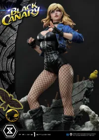 Prime 1 Studio Museum Masterline DC Comics Black Canary EX Version - DC Comics - photo 14