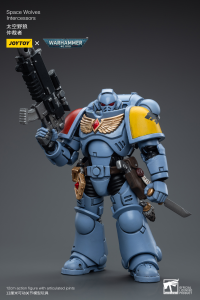 Space Wolves Intercessors 7