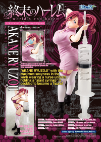 1/6 scaled pre-painted figure worlds end harem AKANE RYUZOJI dress-up nurse 2
