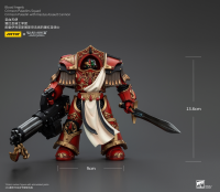 Blood Angels Crimson Paladins Squad Crimson Paladin with Iliastus Assault Cannon 4