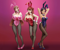 Minako Sanada Bare Leg Bunny Ver. 11