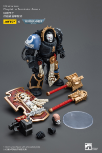 Ultramarines Chaplain in Terminator Armour 6