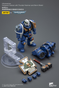 Ultramarines Vanguard Veteran with Thunder Hammer and Storm Shield 3