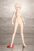 B1R-M CHASSIS KIT SKIN COLOR C 5