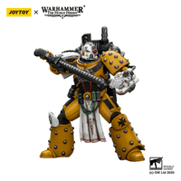 Imperial Fists Legion Apothecary 9