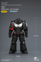 Raven Guard Intercessor with Bolt Rifle, Bolt Pistol and Chainsword 16