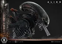 Prime 1 Studio Museum Masterline XL Alien: Romulus Scorched Xenomorph Deluxe Bonus Version - Alien (Movie Franchise) - photo 68