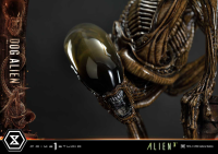 Museum Masterline XL Alien 3 (Film) Dog Alien			 31