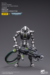 WH40K-Necrons Sautekh Dynasty Immortal with Tesla Carbine 3