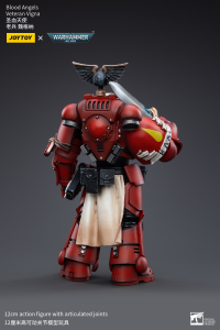 Blood Angels Veteran Vigna 4