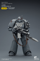 Space Wolves MKVI Tactical Legionary 13
