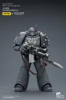 JOYTOY Space Wolves MKVI Tactical Legionary - Warhammer 40K - photo 13