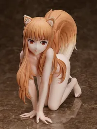 FREEing Holo - Spice and Wolf - photo 15
