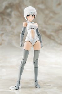 B1R-M CHASSIS KIT SKIN COLOR A 1