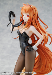 Spice and Wolf: MERCHANT MEETS THE WISE WOLF Holo Light Novel bunny ver. illustration by Jyuu Ayakura 8