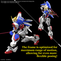 RG 1/144 #42 GF13-017NJ SHINING GUNDAM 8