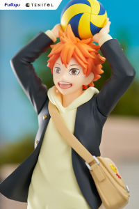 TENITOL HINATA SHOYO 2