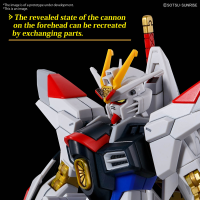 HG 1/144 MIGHTY STRIKE FREEDOM GUNDAM 12