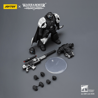 Raven Guard Mor Deythan with Nemesis bolt rifle 6