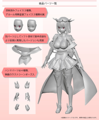 Akane Shinjo (New Order) Articulated Plastic Model 5