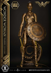 Museum Masterline Wonder Woman (Film) Wonder Woman Training Costume Gold Version 23